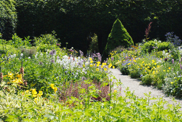 Le "wild garden" de William Robinson recréé à Mount Usher Gardens.